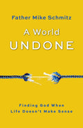 A World Undone: Finding God When Life Doesn't Make Sense - Paperback