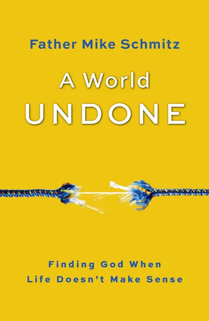 A World Undone: Finding God When Life Doesn't Make Sense - Paperback