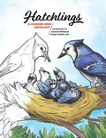 Hatchlings: A Coloring Book Anthology - Paperback