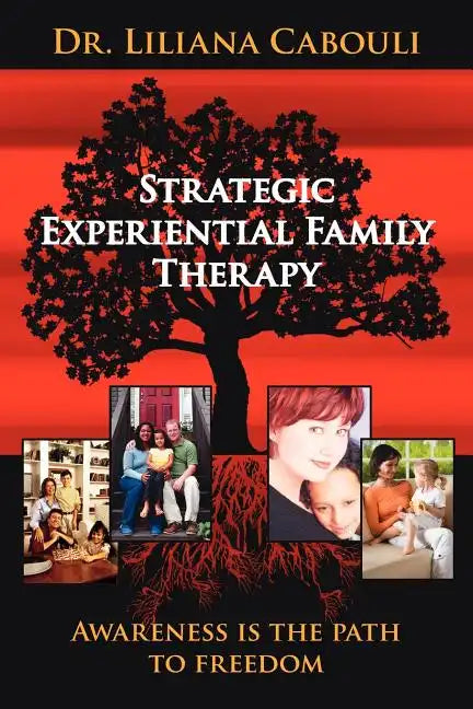 Strategic Experiential Family Therapy - Paperback