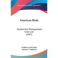 American Birds: Studied And Photographed From Life (1907) - Hardcover