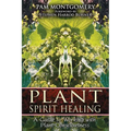 Plant Spirit Healing: A Guide to Working with Plant Consciousness - Paperback