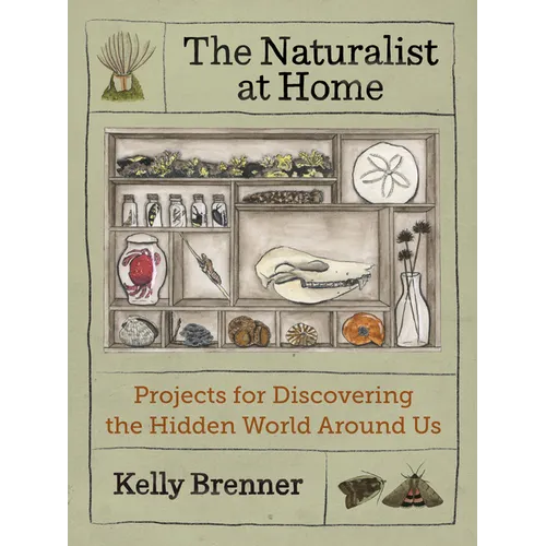 The Naturalist at Home: Projects for Discovering the Hidden World Around Us - Paperback