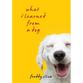 What I Learned From A Dog - Paperback