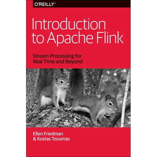 Introduction to Apache Flink: Stream Processing for Real Time and Beyond - Paperback