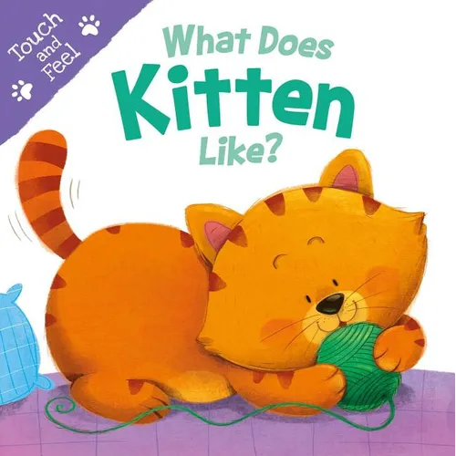 What Does Kitten Like?: Touch & Feel Board Book - Board Book