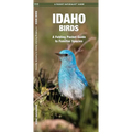 Idaho Birds: A Folding Pocket Guide to Familiar Species