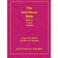 Larger Print Bible-Il-Volume 4 - Paperback
