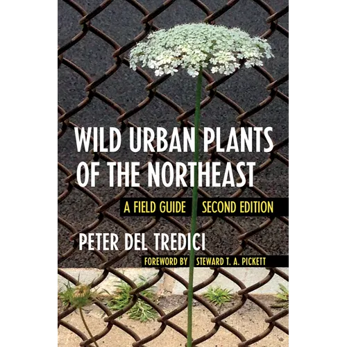Wild Urban Plants of the Northeast: A Field Guide - Paperback