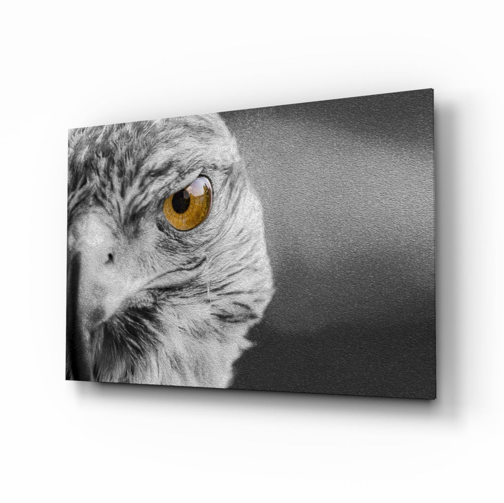Falcon Glass Wall Art
