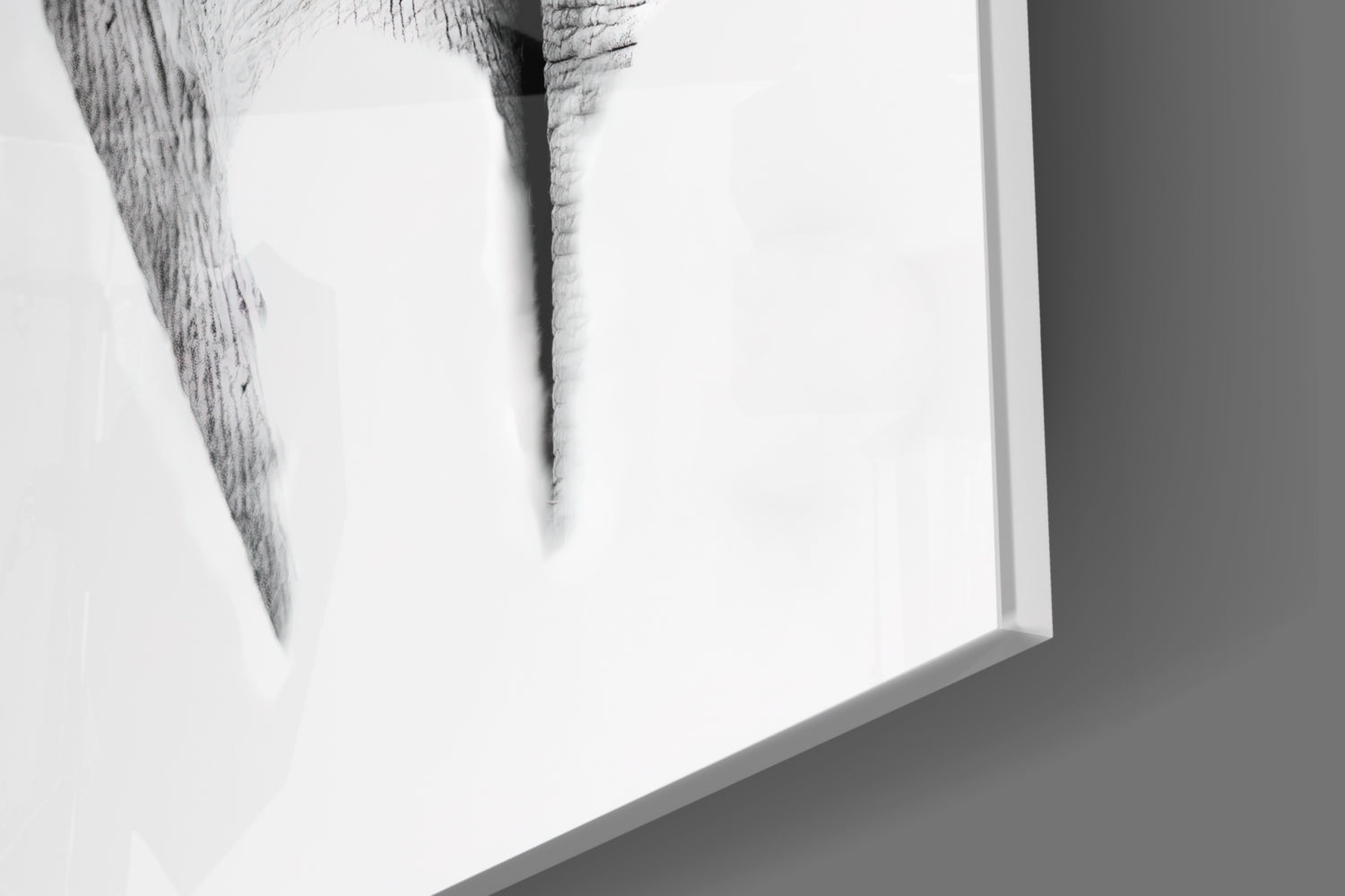 Elephant Glass Wall Art