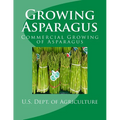 Growing Asparagus: Commercial Growing of Asparagus - Paperback