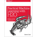 Practical Machine Learning with H2O: Powerful, Scalable Techniques for Deep Learning and AI - Paperback