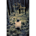 And the Birds Rained Down - Paperback