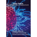 Data Fabric: An Intelligent Data Architecture for AI - Paperback