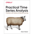 Practical Time Series Analysis: Prediction with Statistics and Machine Learning - Paperback
