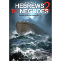 Hebrews to Negroes 2 Volume 3: Wake Up Black America - Paperback