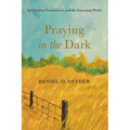 Praying in the Dark: Spirituality, Nonviolence, and the Emerging World - Paperback