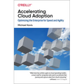 Accelerating Cloud Adoption: Optimizing the Enterprise for Speed and Agility - Paperback