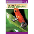 Life in the Amazon Rainforest - Paperback