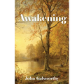 Awakening: And Indian Summer of a Forstye - Paperback