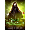 Snow Wicked White: A Glass Slipper Adventure Book 4 - Paperback