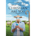 What Type of Christian Are You - Paperback