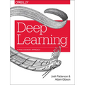 Deep Learning: A Practitioner's Approach - Paperback