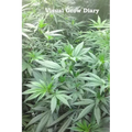 Visual Grow Diary - Paperback