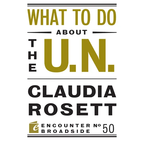What to Do about the U.N. - Paperback