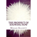 The Prospect of Knowing Now - Paperback