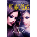 Broken Glass - Mass Market Paperbound