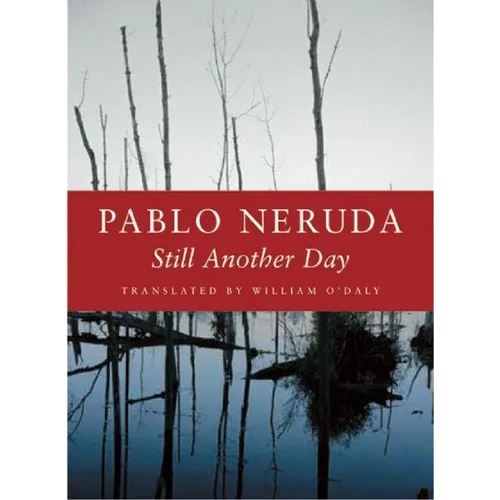 Still Another Day - Paperback