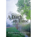 A Ditch in Time: The City, the West, and Water - Paperback