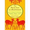 Practice of Happiness: Excercises and Techniques for Developing Mindfullness Wisdom and Joy - Paperback