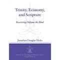 Trinity, Economy, and Scripture: Recovering Didymus the Blind - Paperback