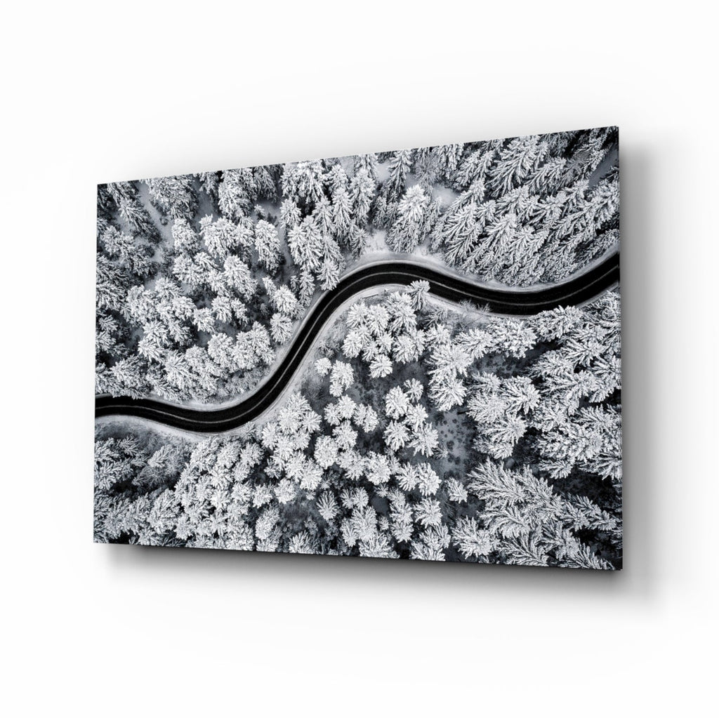 Forest Landscape Glass Wall Art
