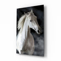 Horse Glass Wall Art