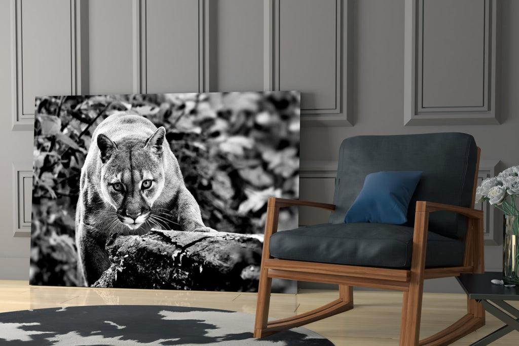 Puma Glass Wall Art