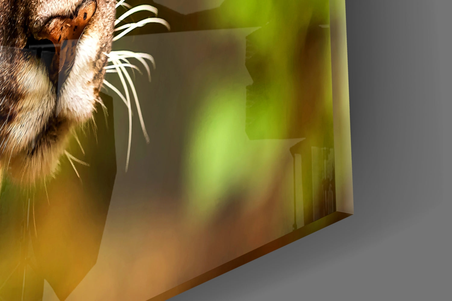 Puma Glass Wall Art