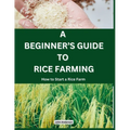 A Beginner's Guide to Rice Farming: How to Start a Rice Farm, Step-by-Step Approach - Paperback